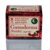 GANODERMA (REISHI), 60 KAPSULA